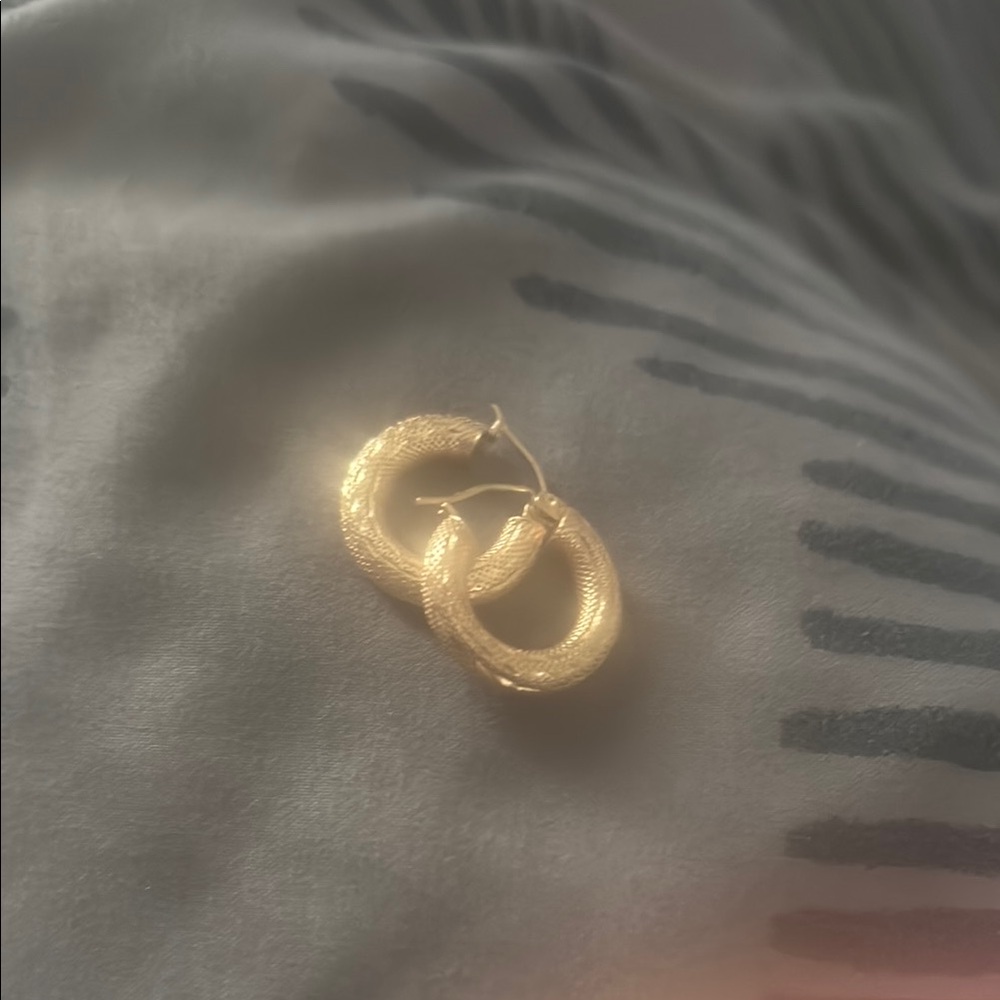 Elegant Gold Hoop Earrings